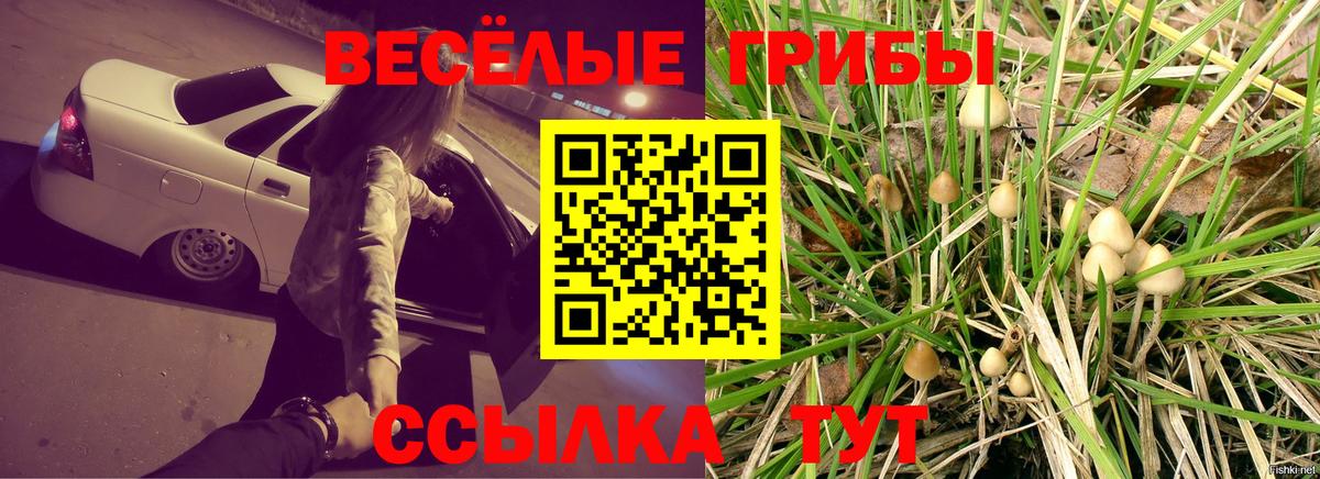 Вологда  Псилоцибиновые грибы Cubensis  Вход с VPN 