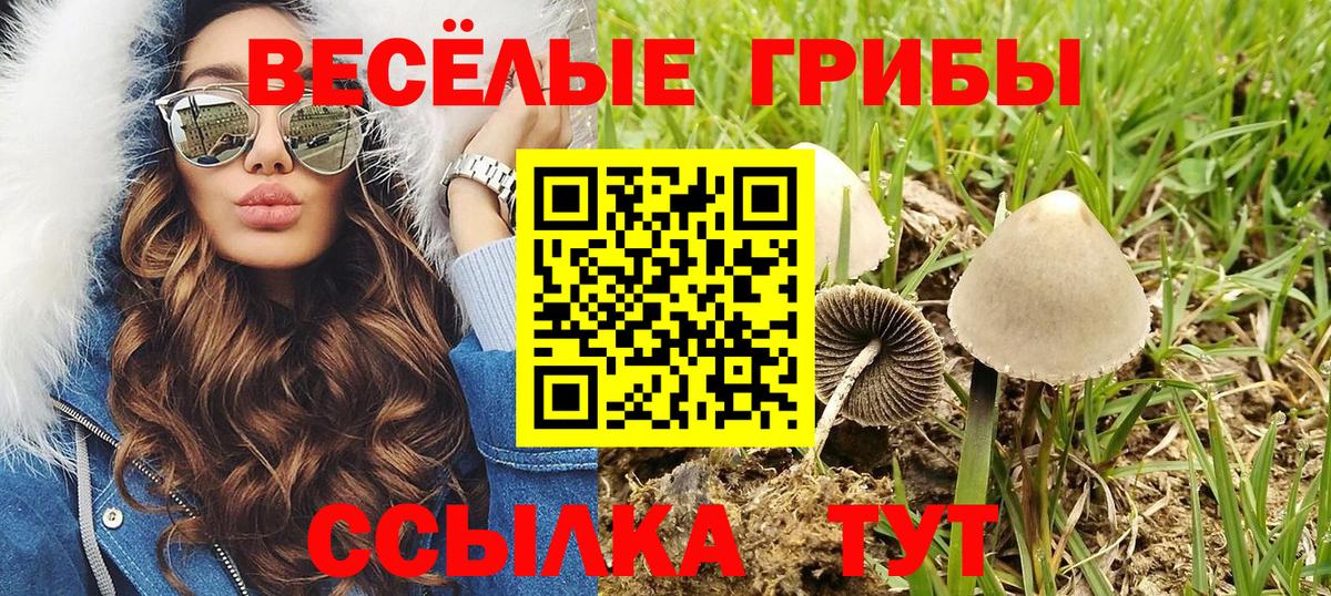 Галлюциногенные грибы мицелий Вологда